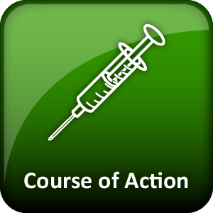 Course of Action Icon